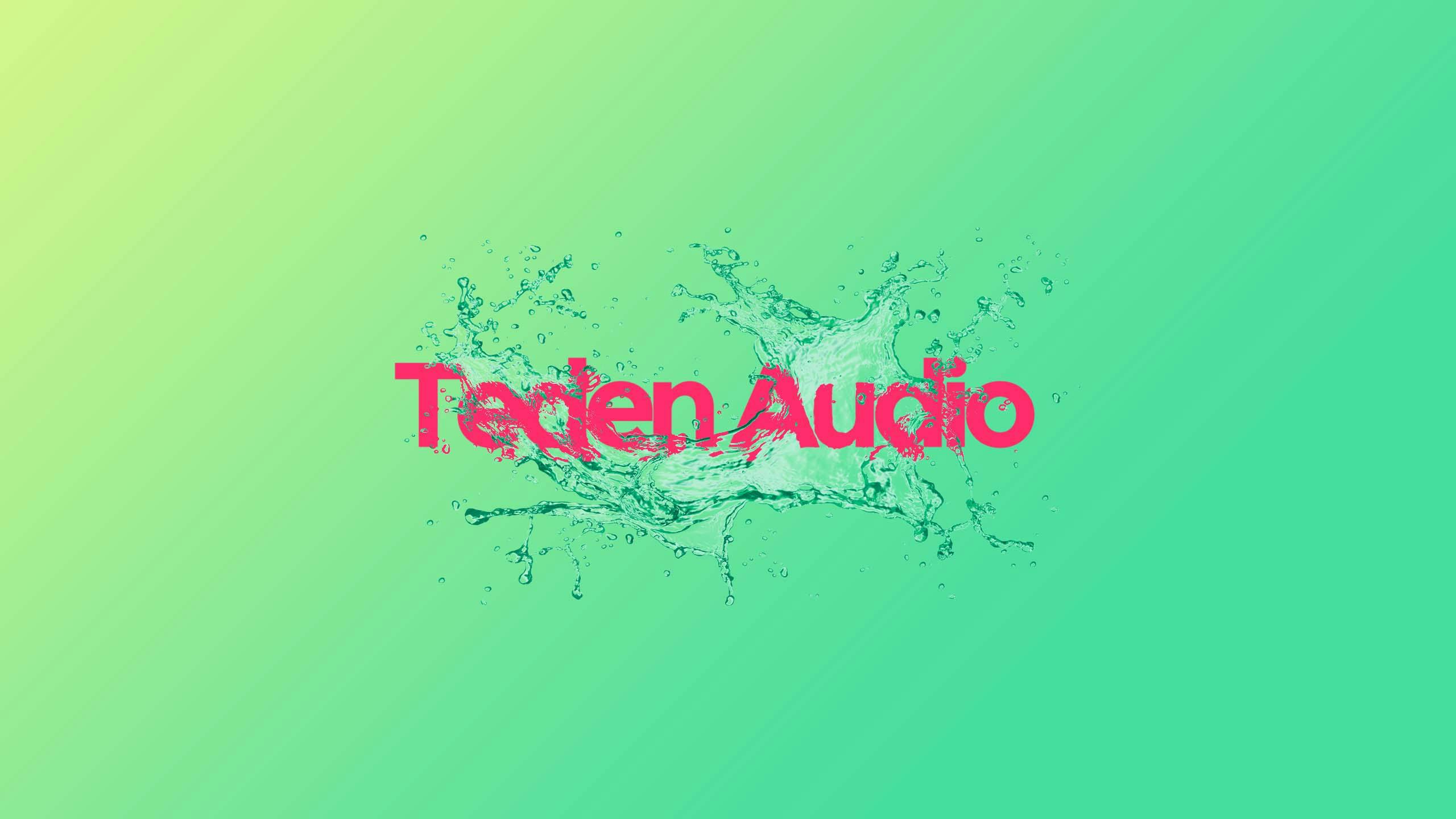 Teden Audio Graphic